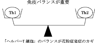 免疫バランスが重要 「ヘルパーT細胞」のバランスが花粉症発症のカギ