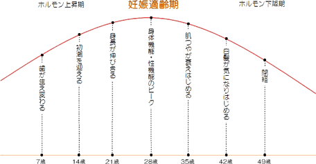 女性の身体の変化と妊娠適齢期